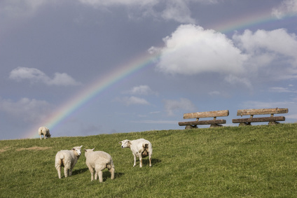 Wetter und Gezeiten Nordsee