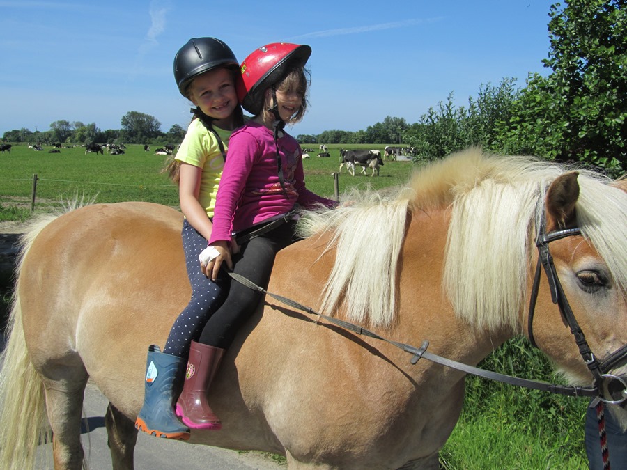 Ponyreiten auf dem Bauernhof Rickerts